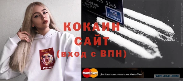 винт Няндома