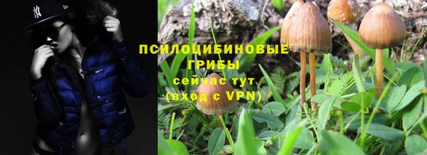спиды Нягань